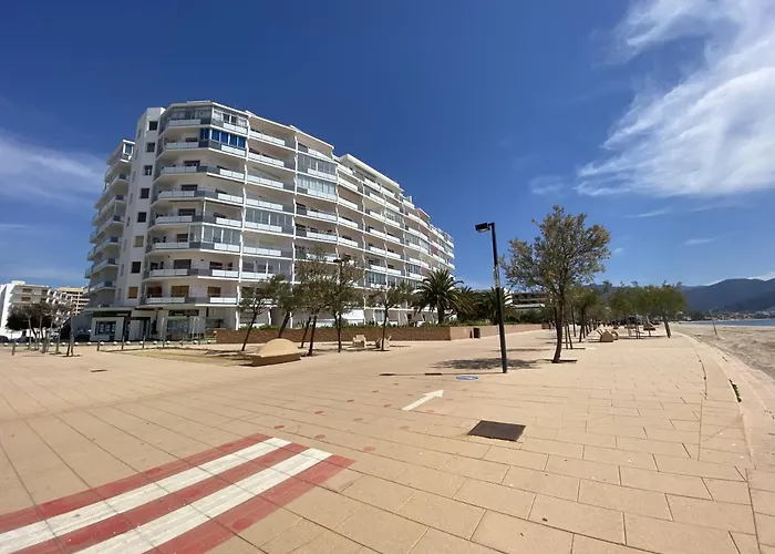 Ibr-miramar 25 Ρόζες