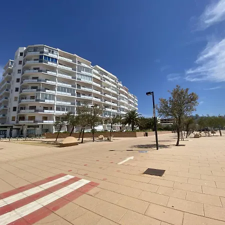 Ibr-miramar 25 Roses